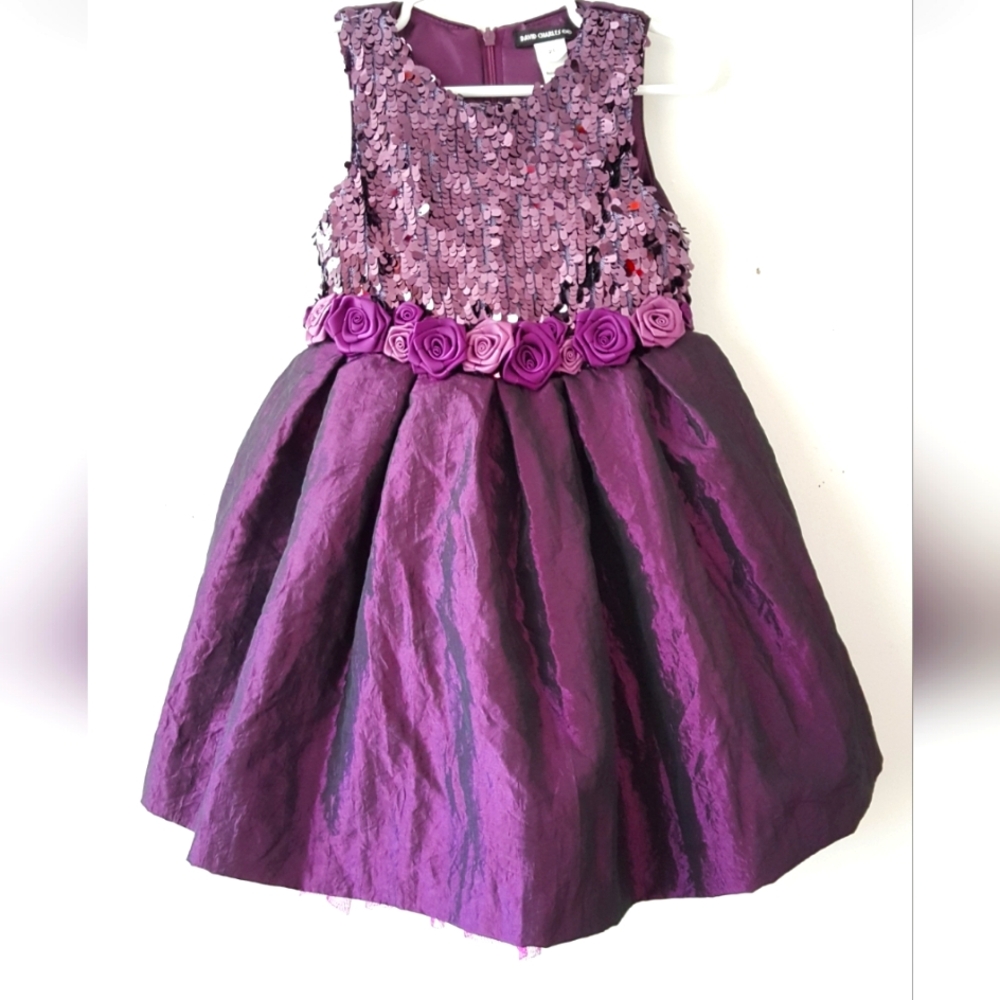 Toddler Girl Party Dress- Brand New